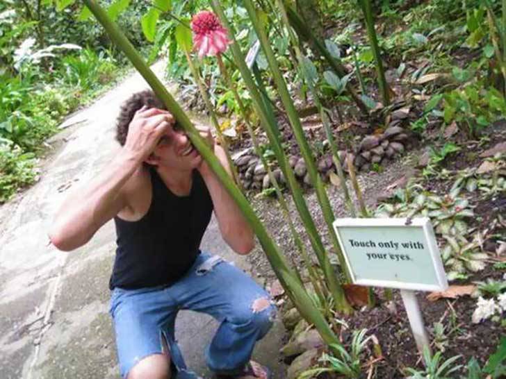 chico tocando una planta con la cabeza