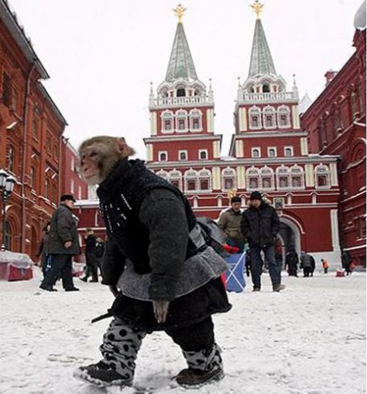 Смешные Фото России