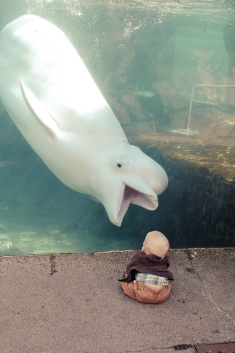 criatura de mar y bebé humano