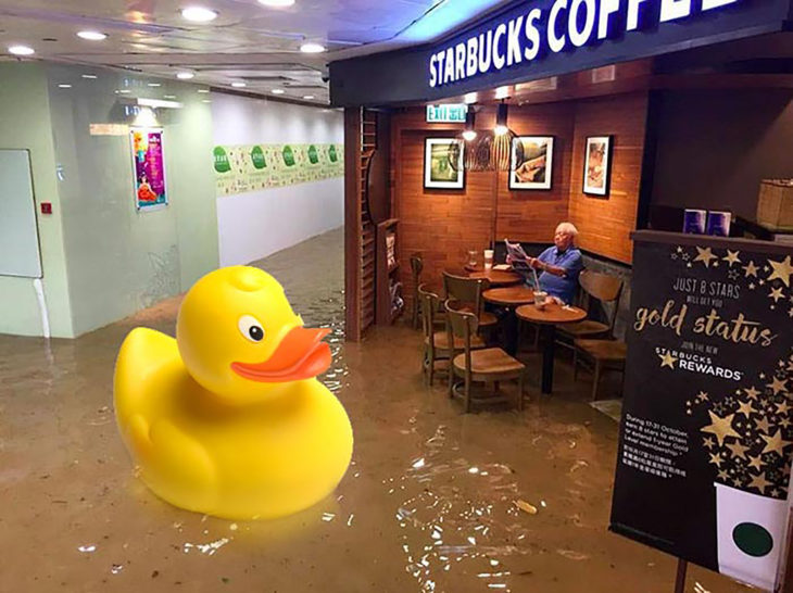 señor en starbucks inundado editado con un pato de plástico