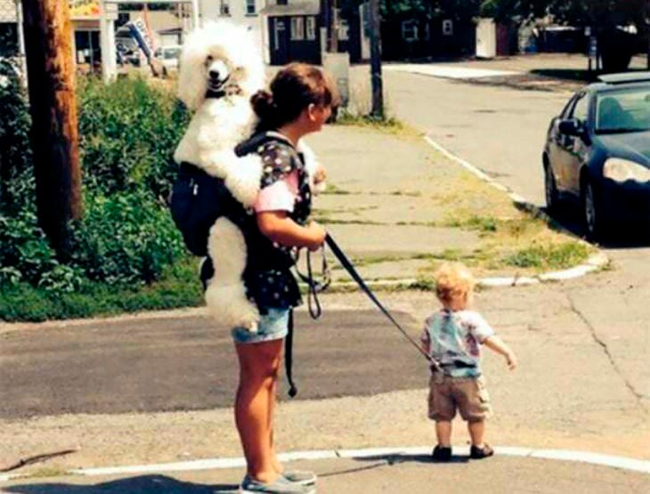 señora cargando un perro y sostiene a su hijo con correa