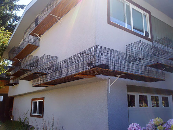 casa con corredor externo para gato