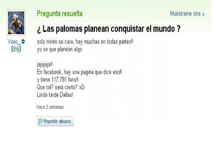 yahoo pregunta, palomas conquistar el mundo