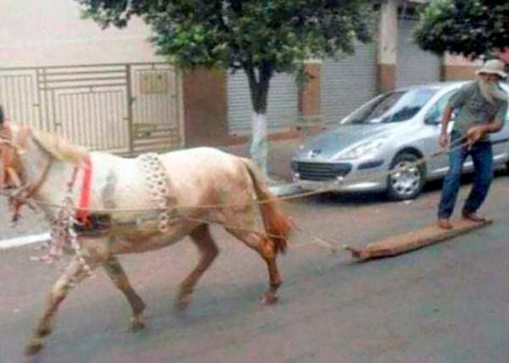 señor en tabla de madera es jalado por caballo