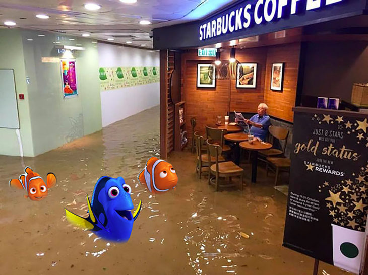 señor en starbucks inundado editado con dory nemo y marlin