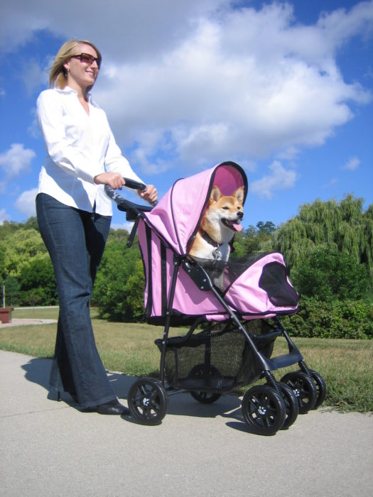 mujer llevando a perro dentro de una carreola