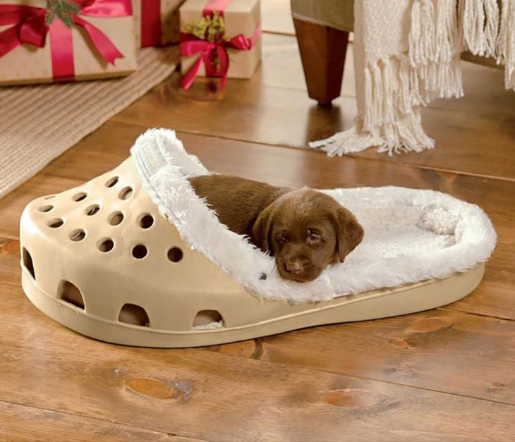 cama de perro en forma de zapato