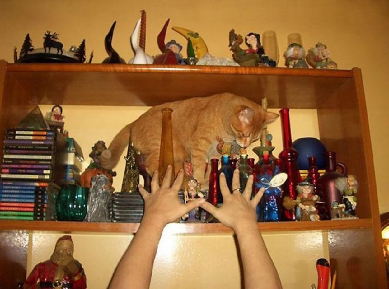 https://www.recreoviral.com/wp-content/uploads/2016/10/20-1.jpg