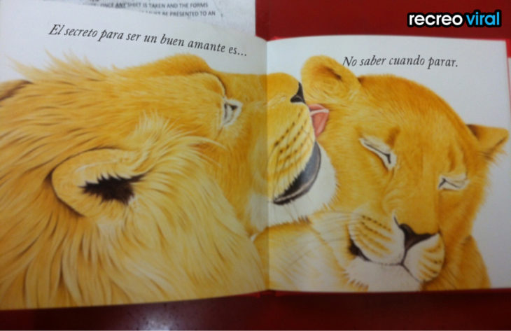 dibujo de pareja de leones en libro infantil 