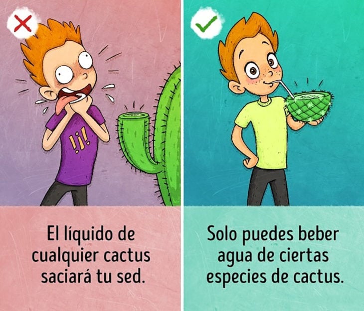 ilustración tomar agua de cactus