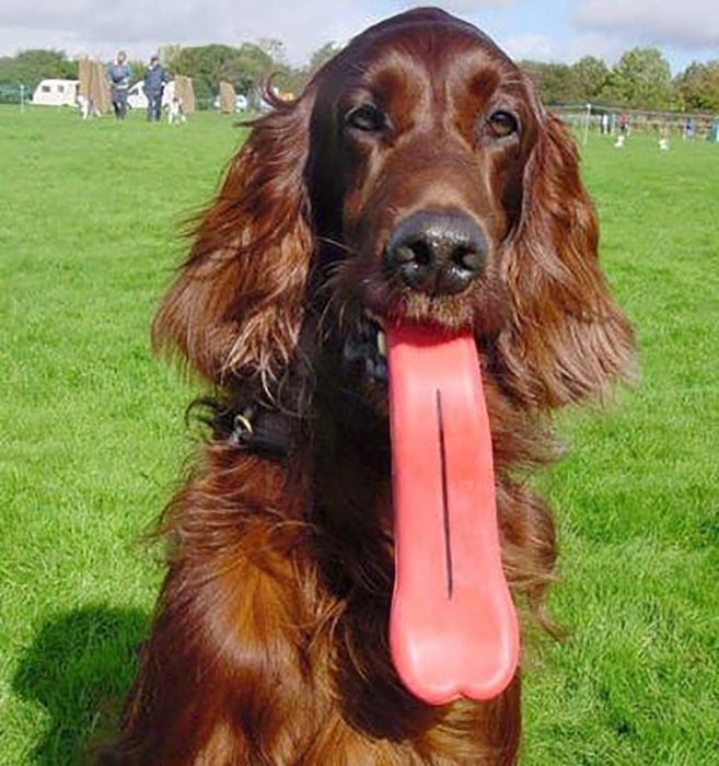 Chupón en forma de lengua gigante para perro