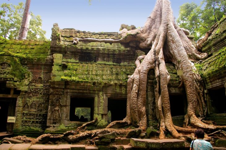 templo bajo las raices de un arbol