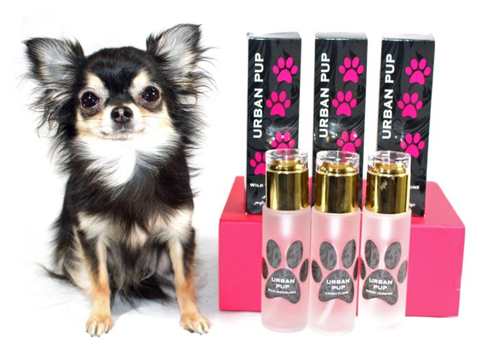 perfume para perro 