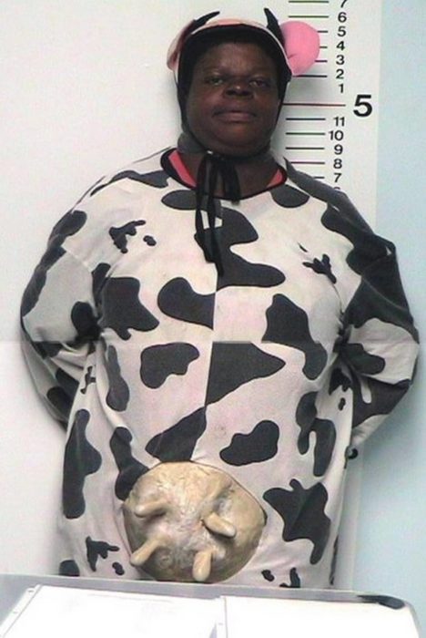 hombre arrestado con traje de vaca