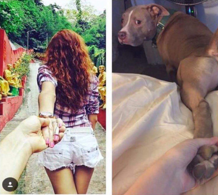 chico tomando mano de mujer vs. chico tomando pata de perro