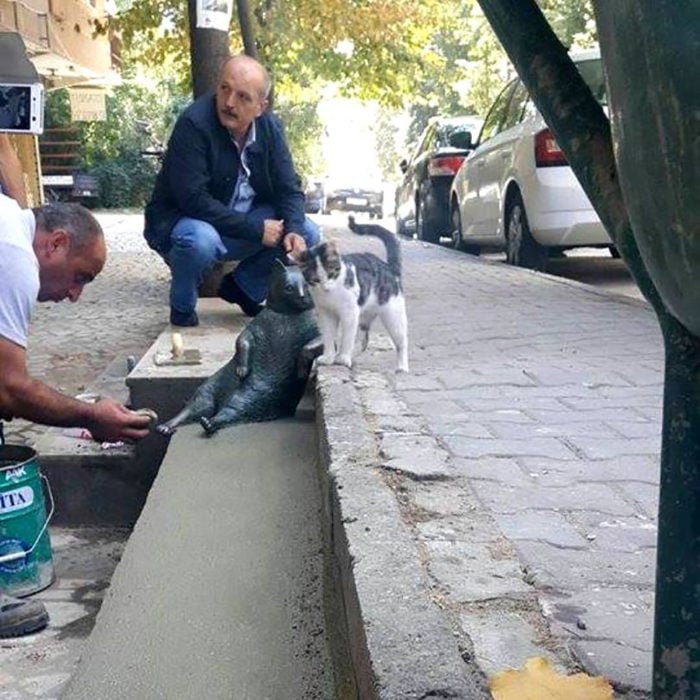 personas y gato en una acera