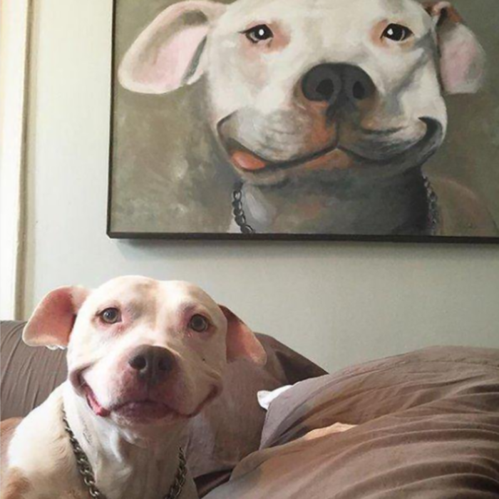 perro sonriente con su retrato pintado