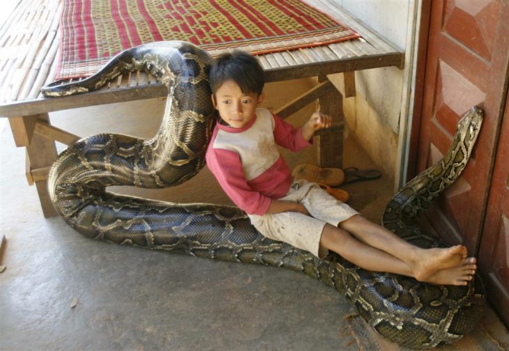 niño sobre una serpiente 