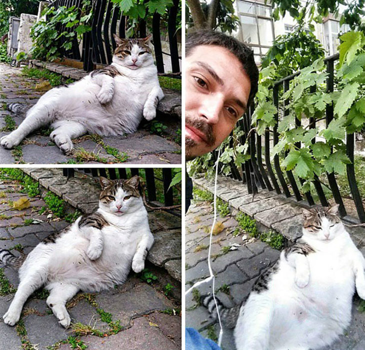 selfie con gato