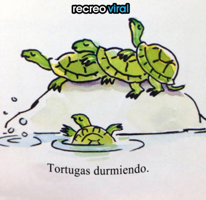 dibujo de tres tortugas durmiendo juntas