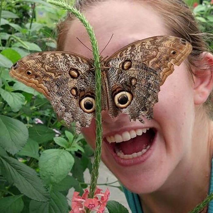 mariposa posada en rostro de mujer