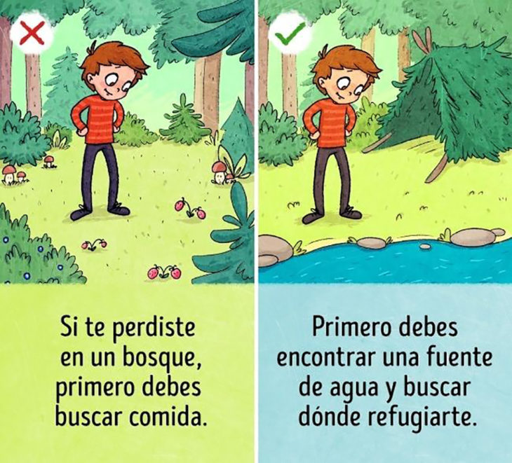 ilustración muchacho en el bosque