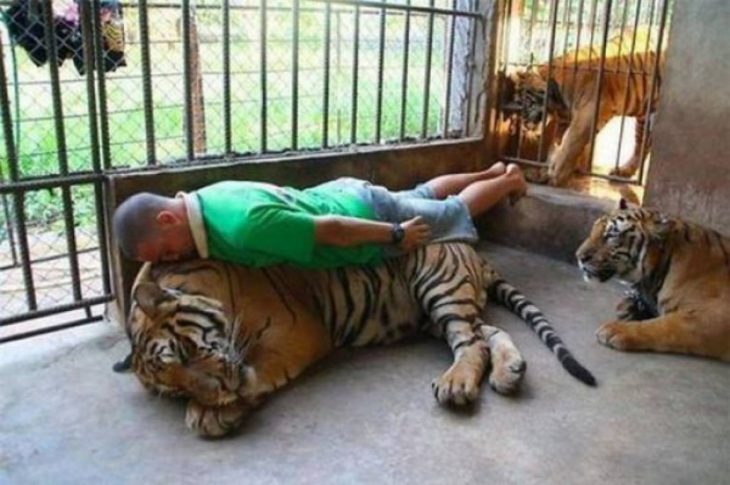 hombre arriba de un tigre