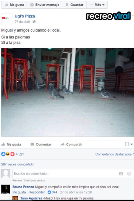 palomas en establecimiento de pizza ugi's