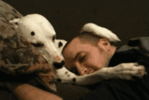 perro abrazando a hombre