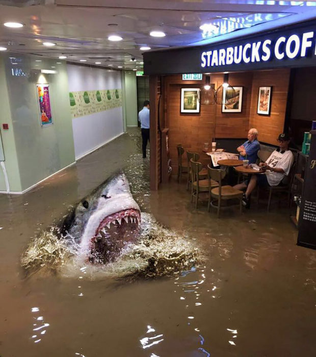 señor en starbucks inundado editado con un tiburón