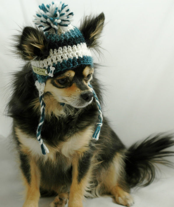 gorro para perro 