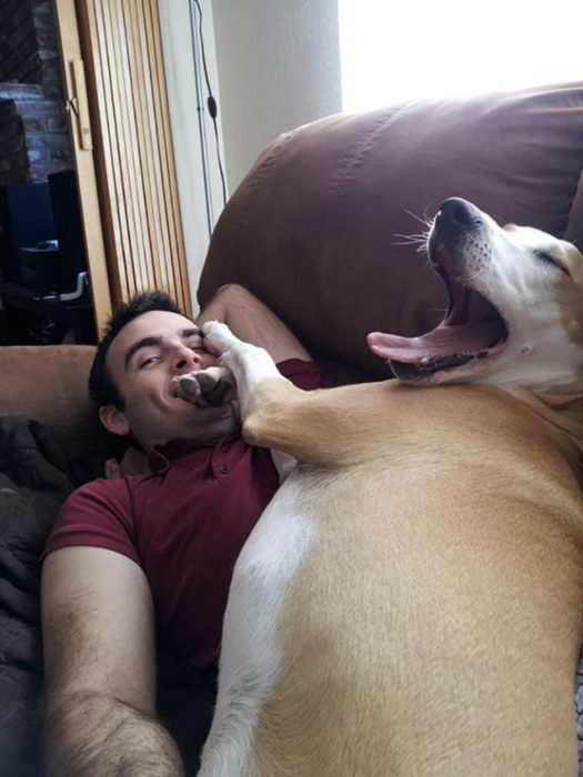 perrito dormido arriba de su dueño 