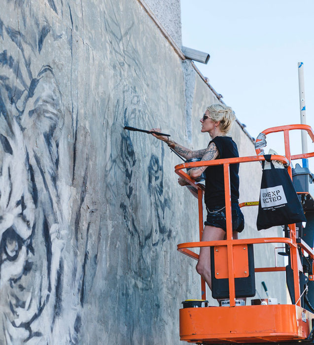 pintando tigres