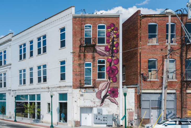 mural de un montón de flores