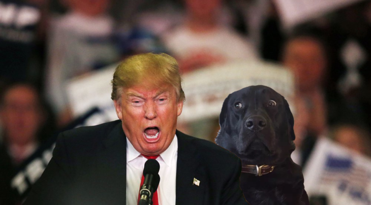 Batalla PS - perro con trump gritando