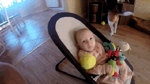 Gif perro lleva juguetes a bebé