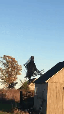 Dementor dron volando