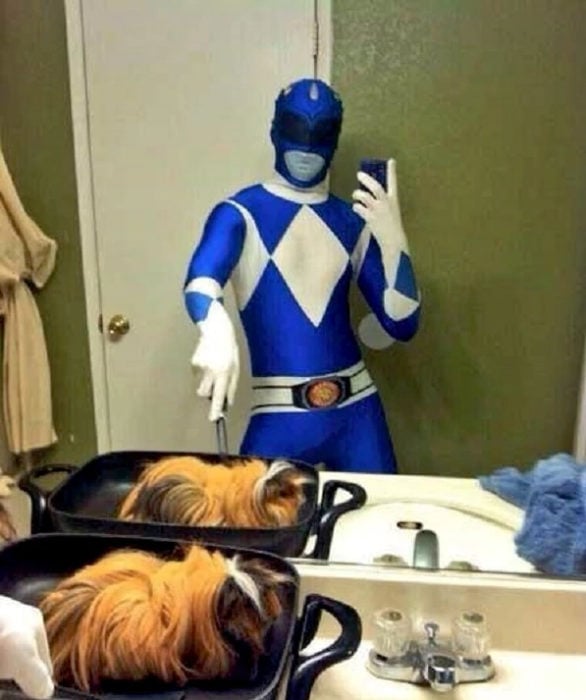 Fotos sin sentido - Power Ranger azul selfie en el baño extraña