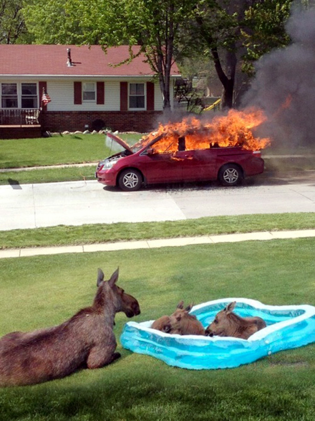 Bilderesultat for canadians watching the election