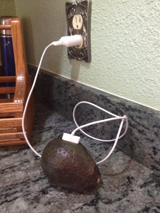 Fotos sin sentido - Cargador conectado a un aguacate