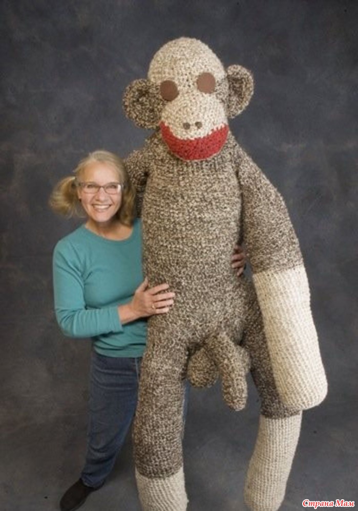 Bilderesultat for wtf monkey