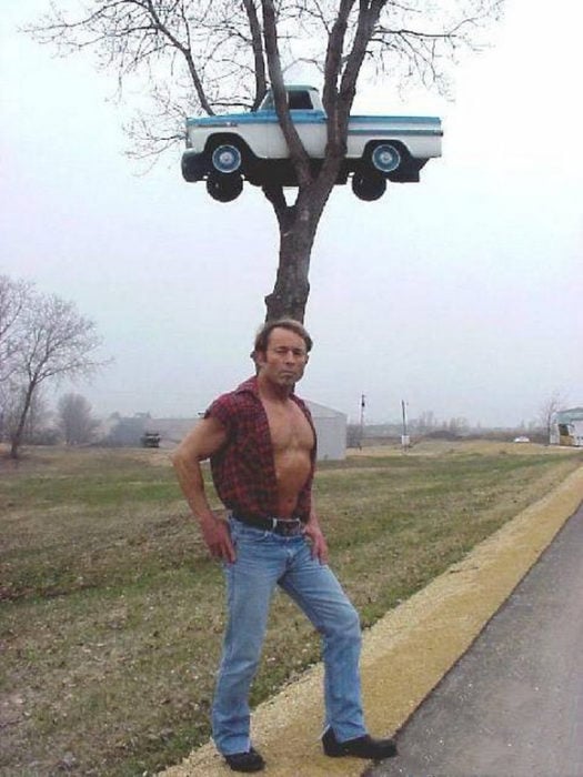 Fotos sin sentido - Camioneta en un árbol alto