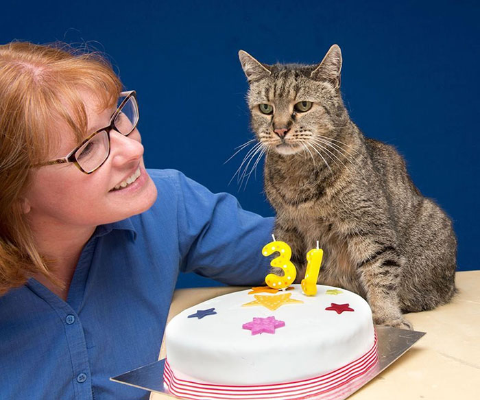 Mujer acariciando a un gato al frente de un pastel por su 31 cumpleaños