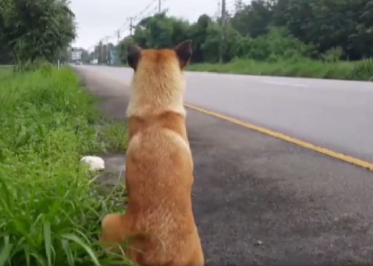 Loung fue abandonado en la carretera, y esperaba a que volvieran por el