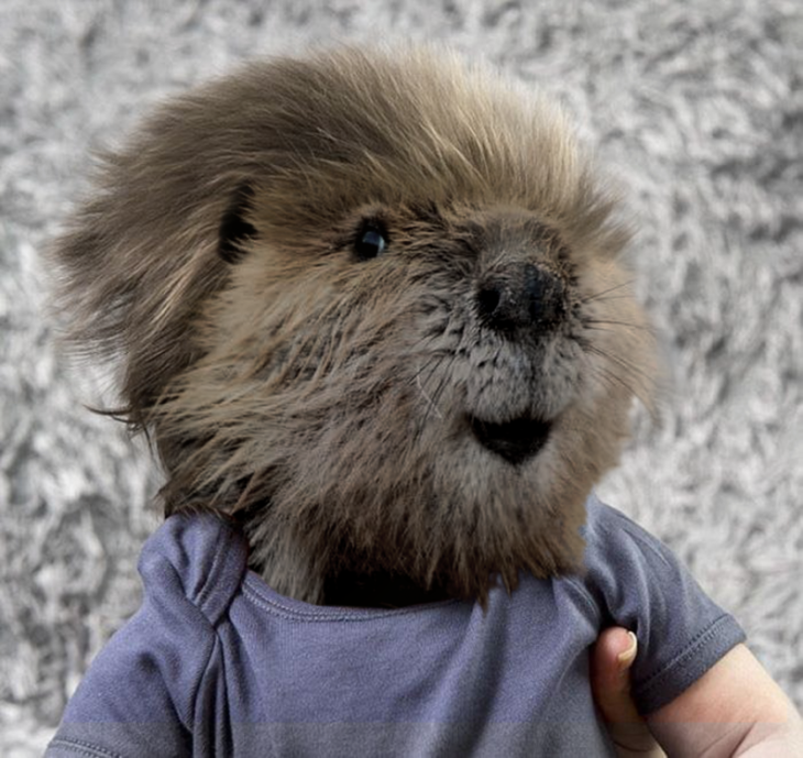 niño con cara de marmota