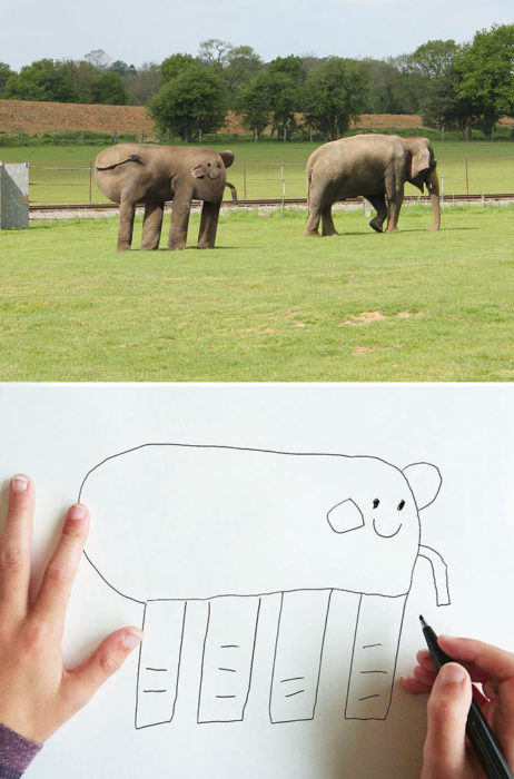 Papá recrea dibujos hijo - elefante