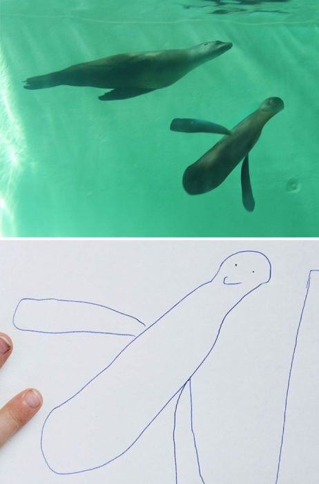 Papá recrea dibujos hijo - foca