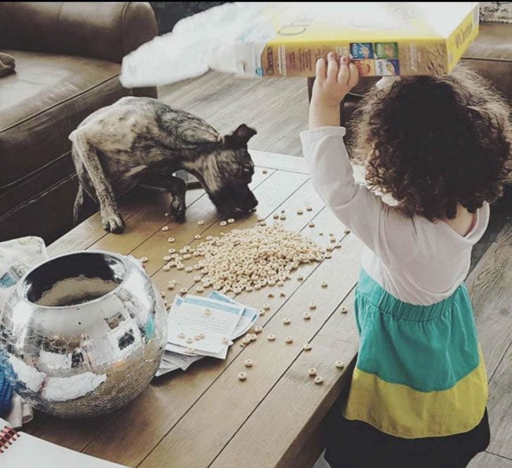 Papás cansados - niña dándole de comer al perro