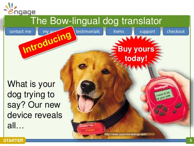 Productos perros - traductor de ladridos