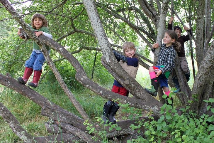 niños sobre un árbol